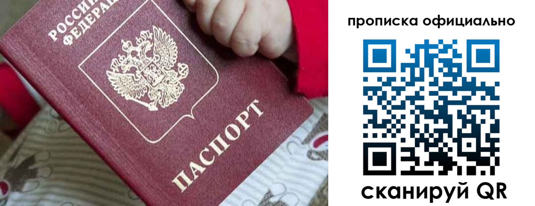 временная регистрация поиск в Смоленской области